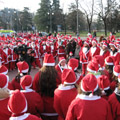 IMG_0015 IMG_0015