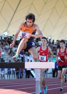 Alessio Morini in azione sulle siepi